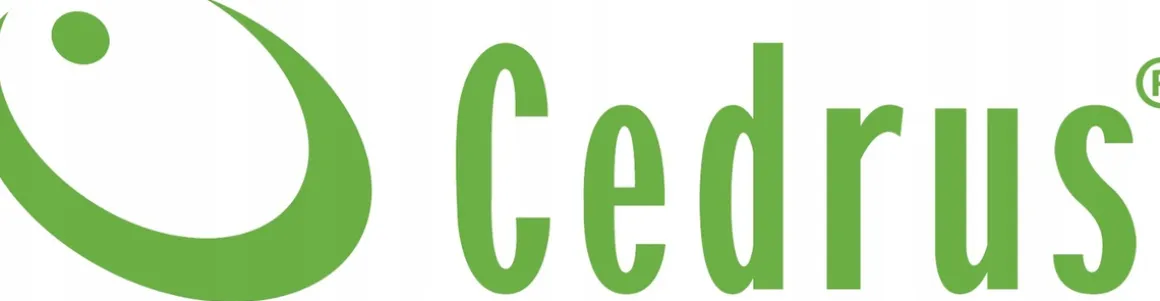 CEDRUS AG3-1F AGREGAT PRĄDOTWÓRCZY GENERATOR 3 KW 3000W