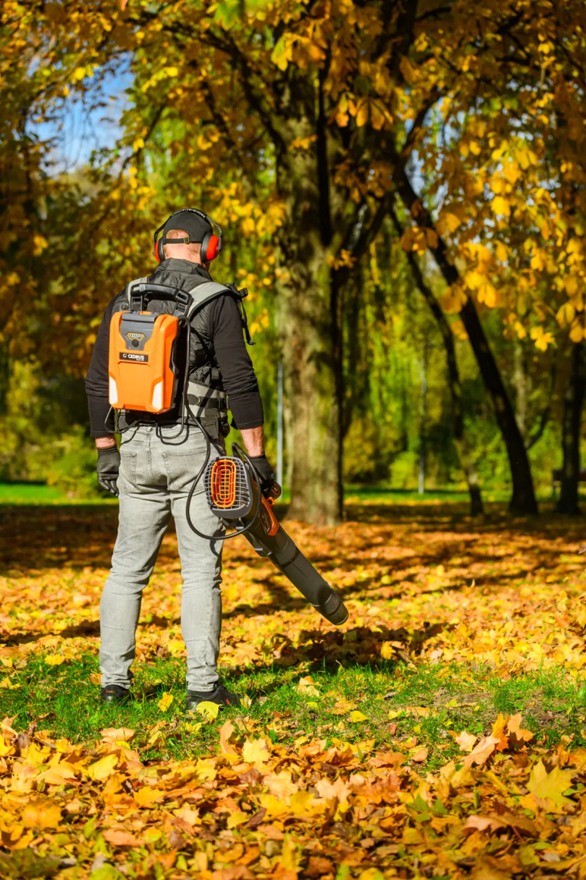Cedrus BL210-P Dmuchawa akumulatorowa Cedrus 60V BL210-P, bez aku i ładowarki CEDBL210-P