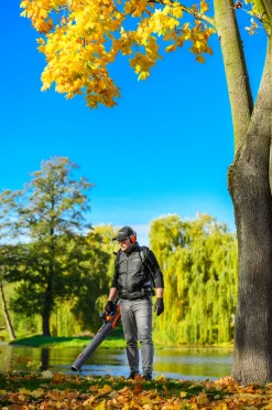 Cedrus BL210-P Dmuchawa akumulatorowa Cedrus 60V BL210-P, bez aku i ładowarki CEDBL210-P