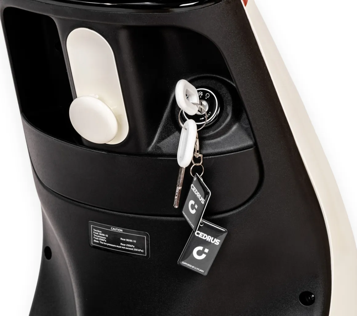 Cedrus by Luyuan C-GO-2W-ZQQ2 skuter elektryczny e-skuter motor akumulatorowy biały