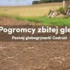 CEDRUS CEDRGL22 ŁĄCZNIK UCHWYT DO MONTAŻU AKCESORIÓW DO GLEBOGRYZARKI CEDRUS GL06 - EWIMAX - OFICJALNY DYSTRYBUTOR - AUTORYZOWANY DEALER CEDRUS