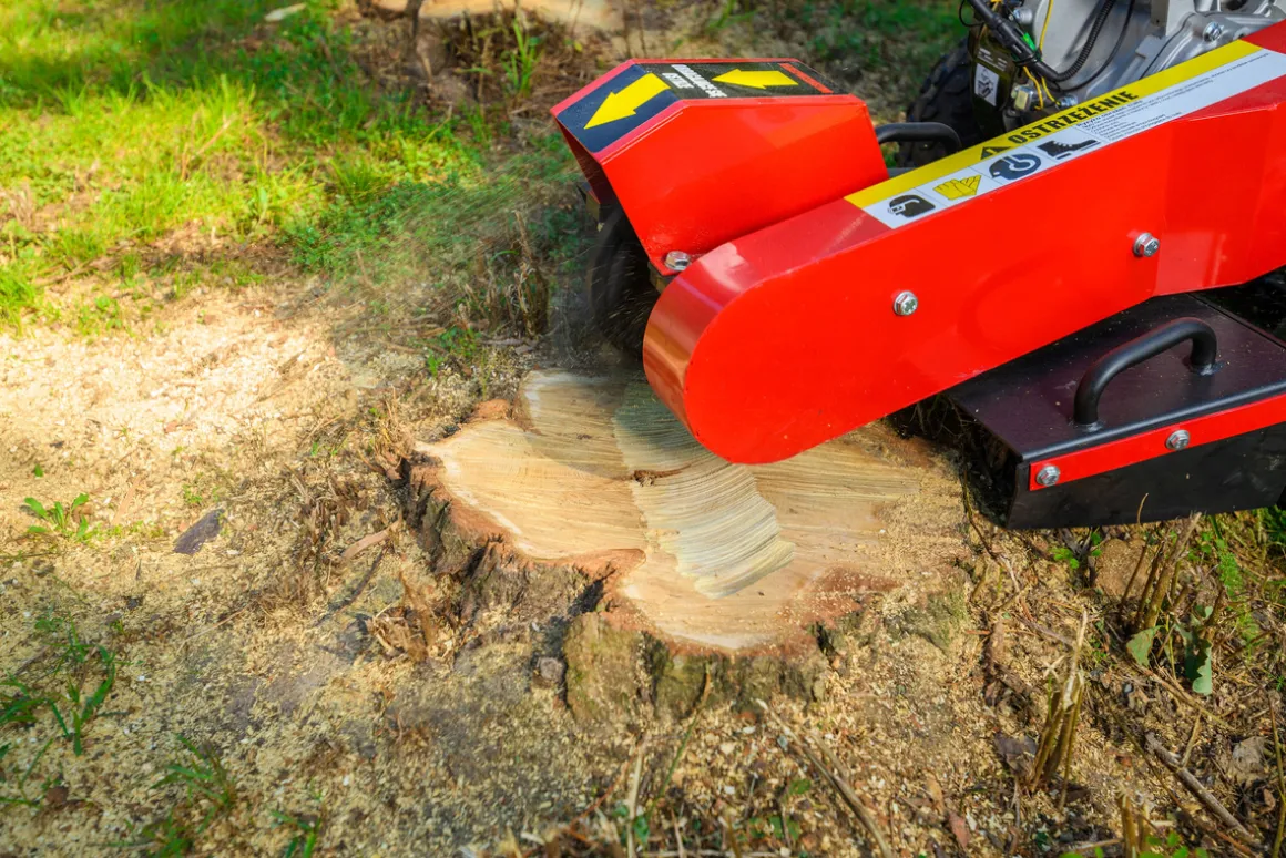 CEDRUS FR01 FREZ FREZARKA DO USUWANIA PNI KORZENI KARCZOWNIK DRZEW 15 KM - EWIMAX - OFICJALNY DYSTRYBUTOR - AUTORYZOWANY DEALER CEDRUS