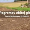 CEDRUS GL03PRO ZESTAW DO ORKI ORANIA DO GLEBOGRYZARKI CEDRUS GL03PRO - ACC0147  - EWIMAX - OFICJALNY DYSTRYBUTOR - AUTORYZOWANY DEALER CEDRUS