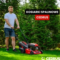 CEDRUS KS42 KOSIARKA SPALINOWA DO TRAWY KS 42 cm / 4,2KM - EWIMAX - OFICJALNY DYSTRYBUTOR - AUTORYZOWANY DEALER CEDRUS