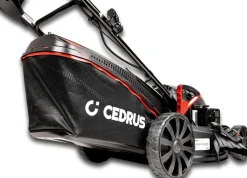 CEDRUS KS53S-E KOSIARKA SPALINOWA DO TRAWY Z NAPĘDEM I ROZRUSZNIKIEM KS53 - 53cm / 5,7 KM - EWIMAX - OFICJALNY DYSTRYBUTOR - AUTORYZOWANY DEALER CEDRUS