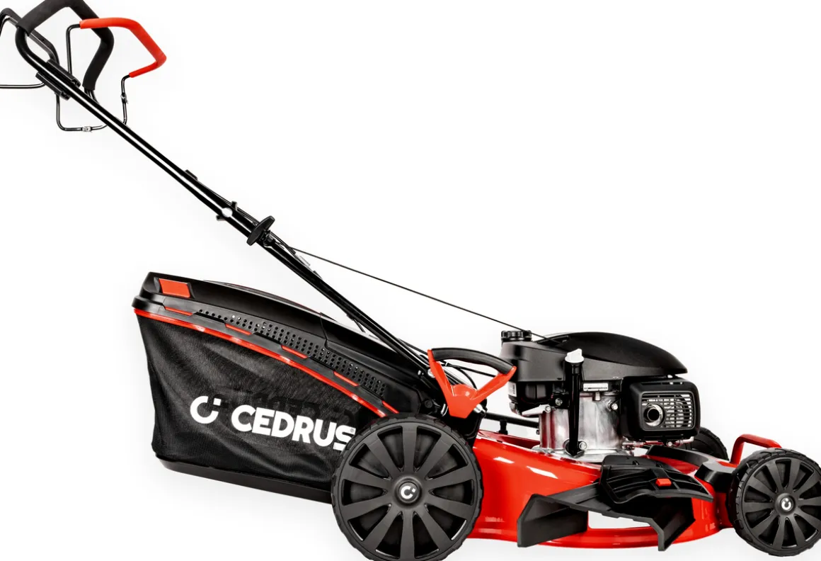 CEDRUS KS56S-H HONDA KOSIARKA SPALINOWA DO TRAWY CEDRUS KS56S-H Z NAPĘDEM 5w1 56cm / 5.6 KM HONDA GCV200 - EWIMAX - OFICJALNY DYSTRYBUTOR - AUTORYZOWANY DEALER CEDRUS