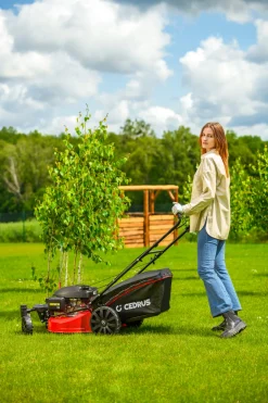 CEDRUS KS51S-H-ZT HONDA KOSIARKA SPALINOWA DO TRAWY Z NAPĘDEM 5w1 51cm / 4.6 KM HONDA GCV170 - EWIMAX - OFICJALNY DYSTRYBUTOR - AUTORYZOWANY DEALER CEDRUS
