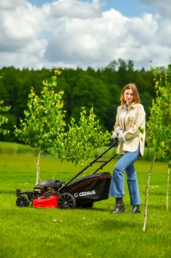 CEDRUS KS51S-H-ZT HONDA KOSIARKA SPALINOWA DO TRAWY Z NAPĘDEM 5w1 51cm / 4.6 KM HONDA GCV170 - EWIMAX - OFICJALNY DYSTRYBUTOR - AUTORYZOWANY DEALER CEDRUS