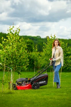 CEDRUS KS51S-H-ZT HONDA KOSIARKA SPALINOWA DO TRAWY Z NAPĘDEM 5w1 51cm / 4.6 KM HONDA GCV170 - EWIMAX - OFICJALNY DYSTRYBUTOR - AUTORYZOWANY DEALER CEDRUS