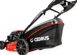 CEDRUS KS48S KOSIARKA SPALINOWA DO TRAWY Z NAPĘDEM 48cm / 4,2 KM - EWIMAX - OFICJALNY DYSTRYBUTOR - AUTORYZOWANY DEALER CEDRUS