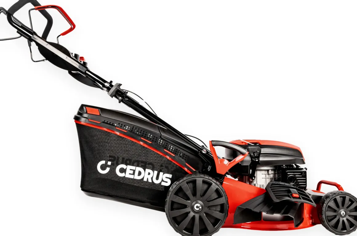 CEDRUS KS48S KOSIARKA SPALINOWA DO TRAWY Z NAPĘDEM 48cm / 4,2 KM - EWIMAX - OFICJALNY DYSTRYBUTOR - AUTORYZOWANY DEALER CEDRUS