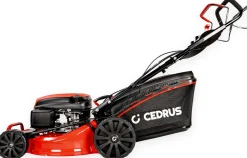 CEDRUS KS48S KOSIARKA SPALINOWA DO TRAWY Z NAPĘDEM 48cm / 4,2 KM - EWIMAX - OFICJALNY DYSTRYBUTOR - AUTORYZOWANY DEALER CEDRUS
