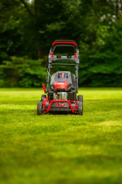 CEDRUS KS53S KOSIARKA SPALINOWA DO TRAWY Z NAPĘDEM 53cm / 5,7 KM - EWIMAX - OFICJALNY DYSTRYBUTOR - AUTORYZOWANY DEALER CEDRUS
