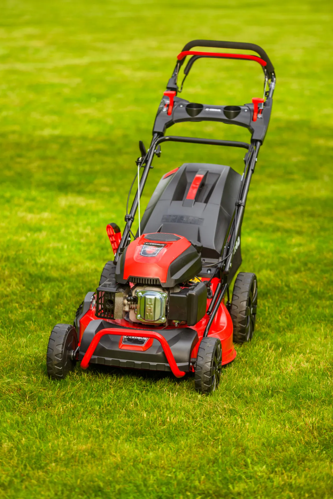 CEDRUS KS53S KOSIARKA SPALINOWA DO TRAWY Z NAPĘDEM 53cm / 5,7 KM - EWIMAX - OFICJALNY DYSTRYBUTOR - AUTORYZOWANY DEALER CEDRUS