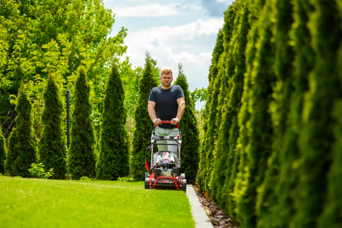 CEDRUS KS53S-L KOSIARKA SPALINOWA DO TRAWY Z NAPĘDEM LONCIN LC1P70FC 53cm / 6,5 KM - EWIMAX - OFICJALNY DYSTRYBUTOR - AUTORYZOWANY DEALER CEDRUS
