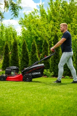 CEDRUS KS53S-L KOSIARKA SPALINOWA DO TRAWY Z NAPĘDEM LONCIN LC1P70FC 53cm / 6,5 KM - EWIMAX - OFICJALNY DYSTRYBUTOR - AUTORYZOWANY DEALER CEDRUS