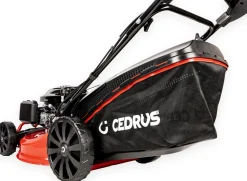 CEDRUS KS53S-L KOSIARKA SPALINOWA DO TRAWY Z NAPĘDEM LONCIN LC1P70FC 53cm / 6,5 KM - EWIMAX - OFICJALNY DYSTRYBUTOR - AUTORYZOWANY DEALER CEDRUS