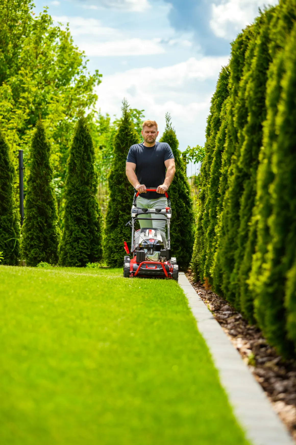 CEDRUS KS53S-L KOSIARKA SPALINOWA DO TRAWY Z NAPĘDEM LONCIN LC1P70FC 53cm / 6,5 KM - EWIMAX - OFICJALNY DYSTRYBUTOR - AUTORYZOWANY DEALER CEDRUS