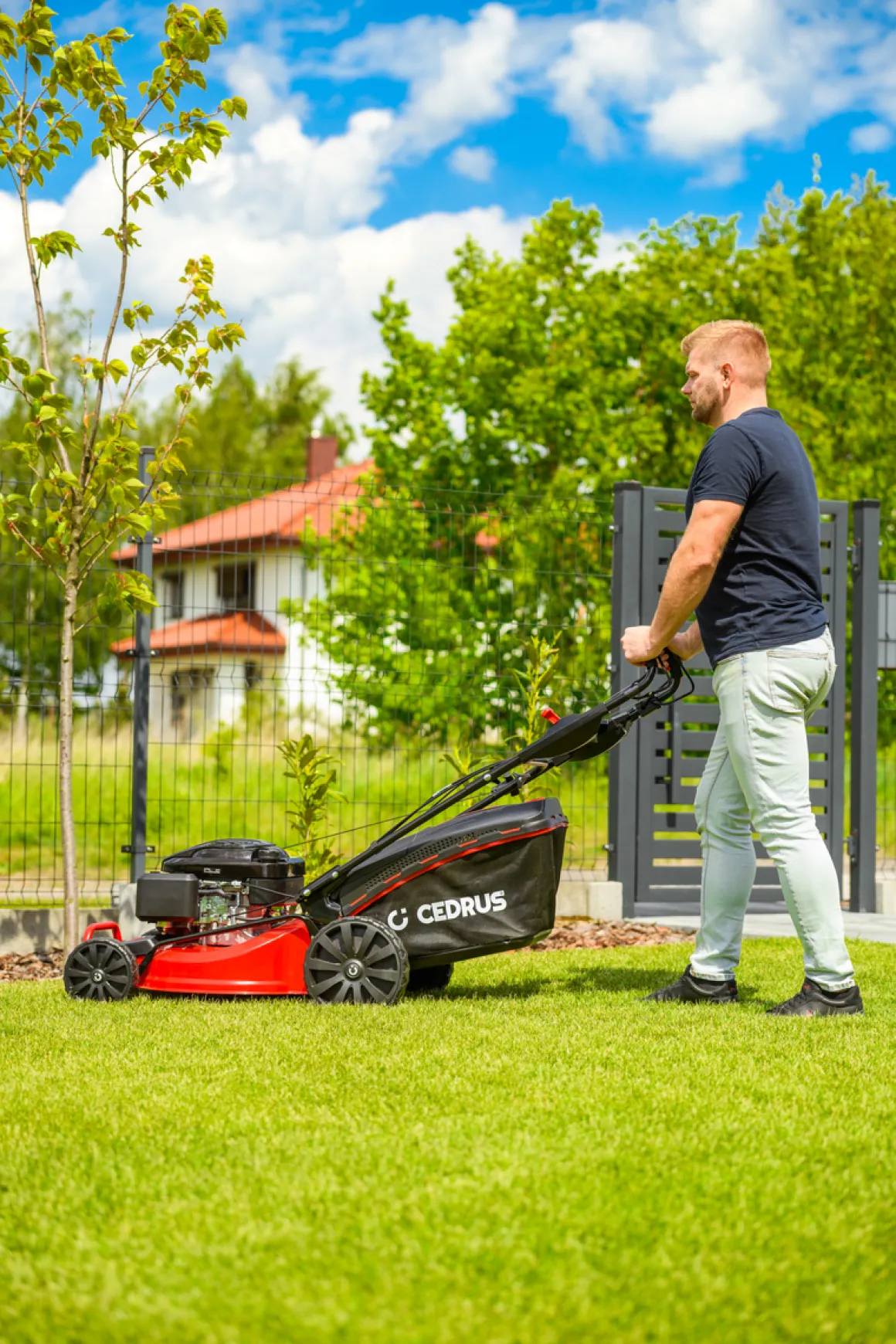 CEDRUS KS53S-L KOSIARKA SPALINOWA DO TRAWY Z NAPĘDEM LONCIN LC1P70FC 53cm / 6,5 KM - EWIMAX - OFICJALNY DYSTRYBUTOR - AUTORYZOWANY DEALER CEDRUS