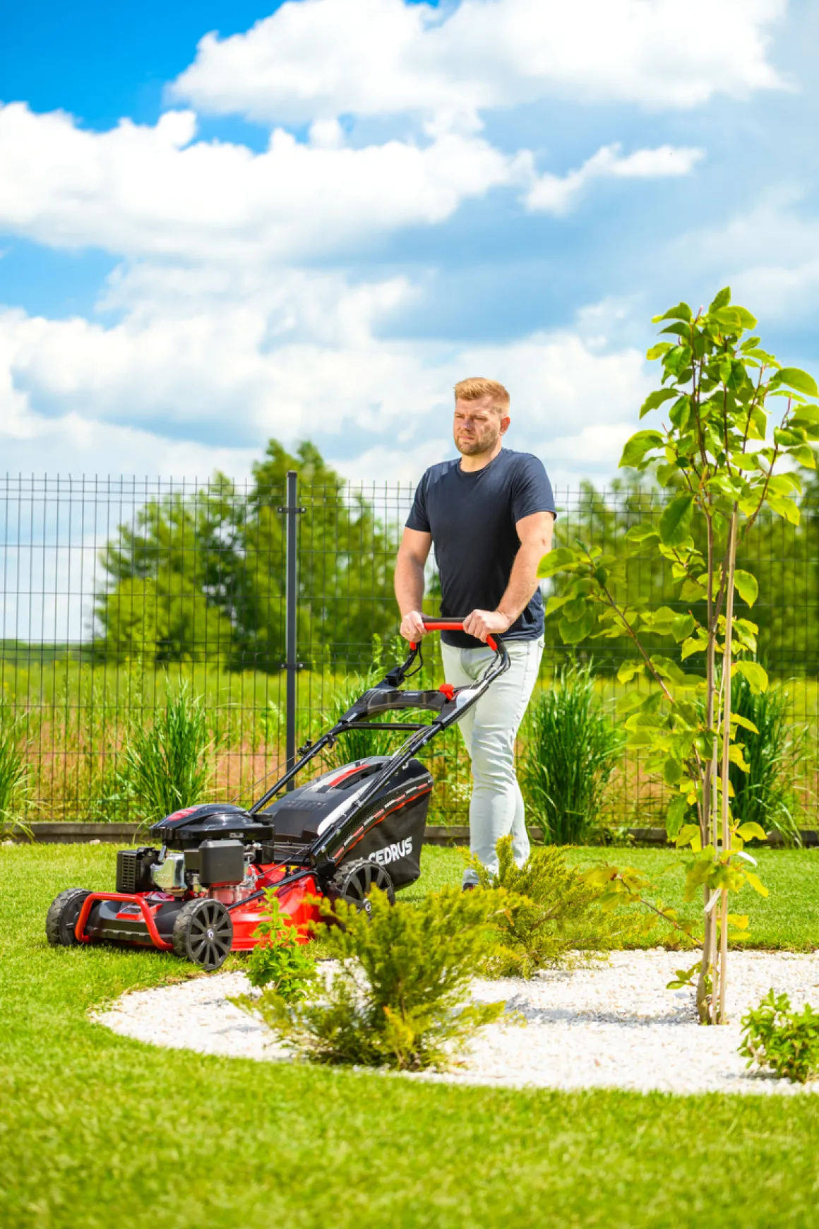 CEDRUS KS53S-L KOSIARKA SPALINOWA DO TRAWY Z NAPĘDEM LONCIN LC1P70FC 53cm / 6,5 KM - EWIMAX - OFICJALNY DYSTRYBUTOR - AUTORYZOWANY DEALER CEDRUS