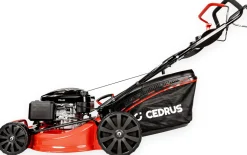 CEDRUS KS53S-L KOSIARKA SPALINOWA DO TRAWY Z NAPĘDEM LONCIN LC1P70FC 53cm / 6,5 KM - EWIMAX - OFICJALNY DYSTRYBUTOR - AUTORYZOWANY DEALER CEDRUS