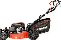 CEDRUS KS51S-ZT KOSIARKA SPALINOWA DO TRAWY Z NAPĘDEM 51cm / 5,7 KM - EWIMAX - OFICJALNY DYSTRYBUTOR - AUTORYZOWANY DEALER CEDRUS