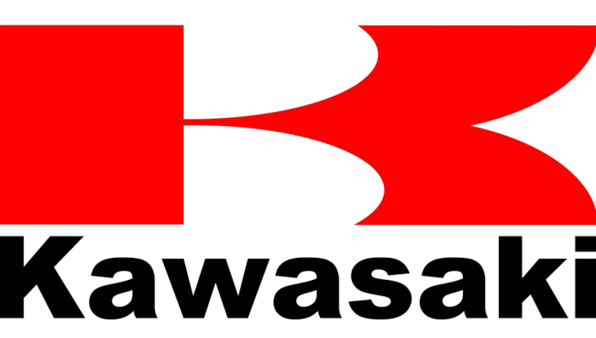 Cedrus KW53 PRO kosa spalinowa wykaszarka podkaszarka Kawasaki TJ53E 2,7 KM