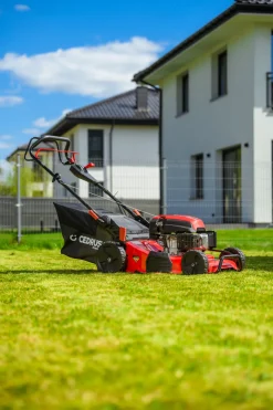 CEDRUS LP53S Premium KOSIARKA SPALINOWA DO TRAWY Z NAPĘDEM 53cm / 5,7 KM CEDLP53S - EWIMAX - OFICJALNY DYSTRYBUTOR - AUTORYZOWANY DEALER CEDRUS