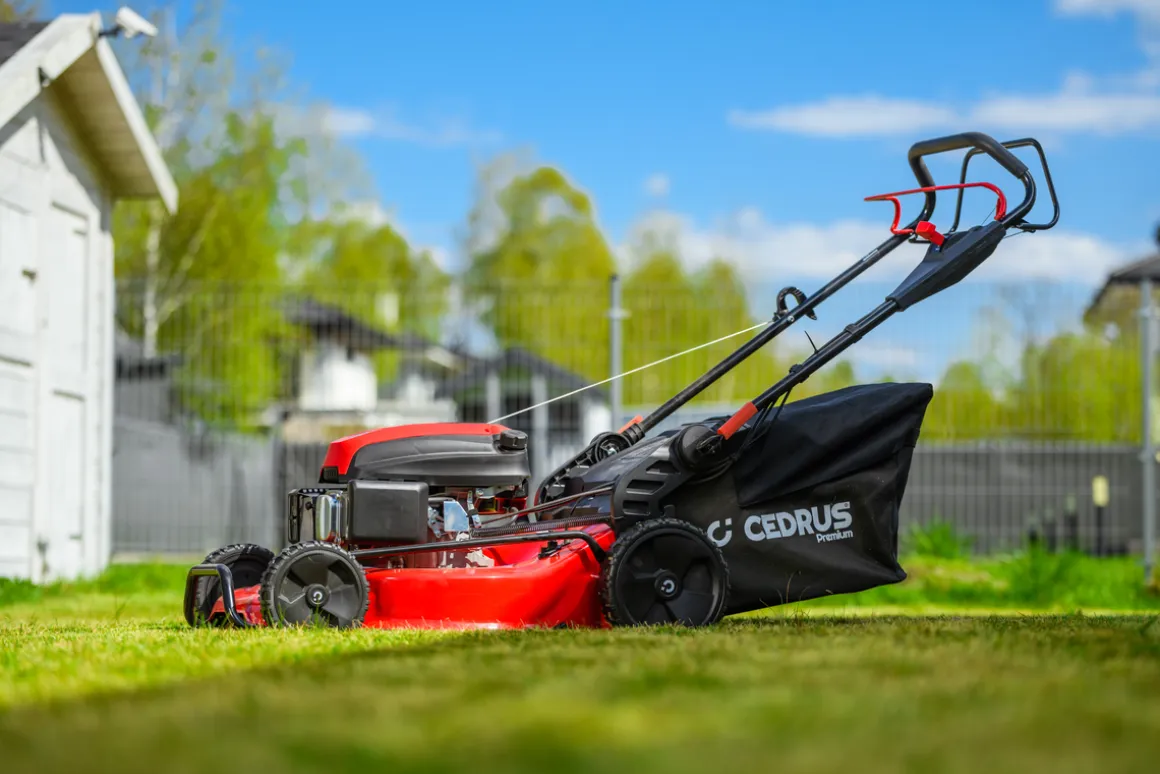 CEDRUS LP53S Premium KOSIARKA SPALINOWA DO TRAWY Z NAPĘDEM 53cm / 5,7 KM CEDLP53S - EWIMAX - OFICJALNY DYSTRYBUTOR - AUTORYZOWANY DEALER CEDRUS