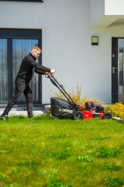 CEDRUS LP53S Premium KOSIARKA SPALINOWA DO TRAWY Z NAPĘDEM 53cm / 5,7 KM CEDLP53S - EWIMAX - OFICJALNY DYSTRYBUTOR - AUTORYZOWANY DEALER CEDRUS