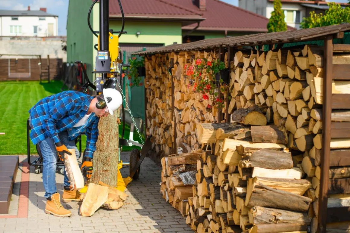 CEDRUS LS10 ŁUPARKA DO DREWNA HYDRAULICZNA ELEKTRYCZNA CEDRUS CEDLS10V PIONOWA RĘBAK NACISK 22 TONY - EWIMAX - OFICJALNY DYSTRYBUTOR - AUTORYZOWANY DEALER CEDRUS