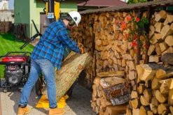 CEDRUS LS10 ŁUPARKA DO DREWNA HYDRAULICZNA ELEKTRYCZNA CEDRUS CEDLS10V PIONOWA RĘBAK NACISK 22 TONY - EWIMAX - OFICJALNY DYSTRYBUTOR - AUTORYZOWANY DEALER CEDRUS