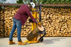 CEDRUS LS09 ŁUPARKA DO DREWNA HYDRAULICZNA ELEKTRYCZNA CEDRUS LS09V PIONOWA RĘBAK NACISK 14 TON CEDLS09V - EWIMAX - OFICJALNY DYSTRYBUTOR - AUTORYZOWANY DEALER CEDRUS