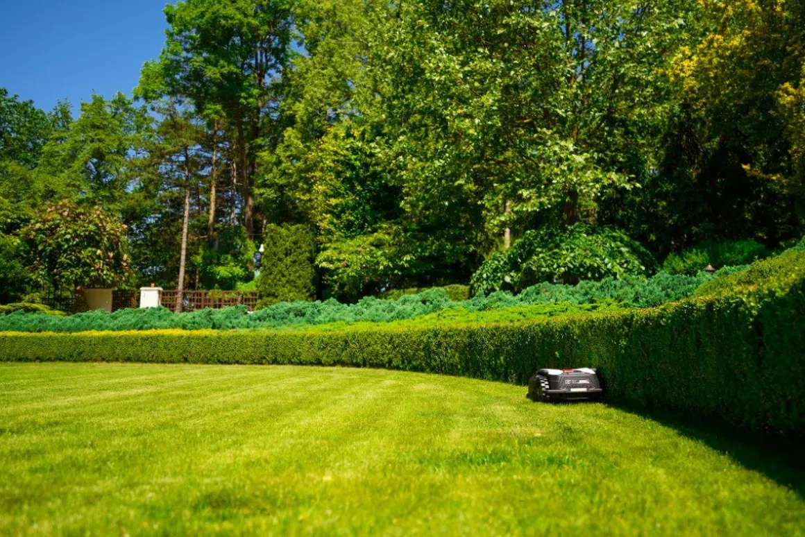 CEDRUS M12+ ROBOT KOSZĄCY KOSIARKA AUTOMATYCZNA DO TRAWY C-MOW 1200m2 - OFICJALNY DYSTRYBUTOR - AUTORYZOWANY DEALER CEDRUS