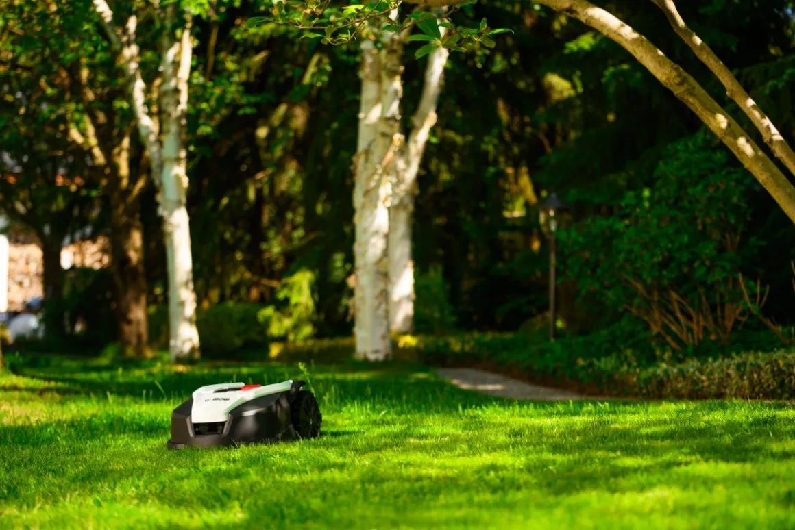 CEDRUS M12+ ROBOT KOSZĄCY KOSIARKA AUTOMATYCZNA DO TRAWY C-MOW 1200m2 - OFICJALNY DYSTRYBUTOR - AUTORYZOWANY DEALER CEDRUS