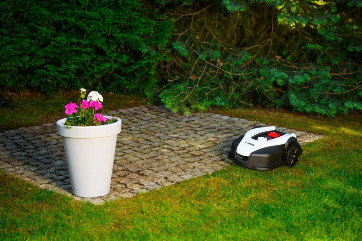 CEDRUS M6+ ROBOT KOSZĄCY KOSIARKA AUTOMATYCZNA DO TRAWY C-MOW 600m2 - OFICJALNY DYSTRYBUTOR - AUTORYZOWANY DEALER CEDRUS