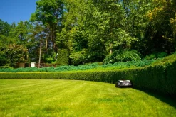 CEDRUS M6+ ROBOT KOSZĄCY KOSIARKA AUTOMATYCZNA DO TRAWY C-MOW 600m2 - OFICJALNY DYSTRYBUTOR - AUTORYZOWANY DEALER CEDRUS