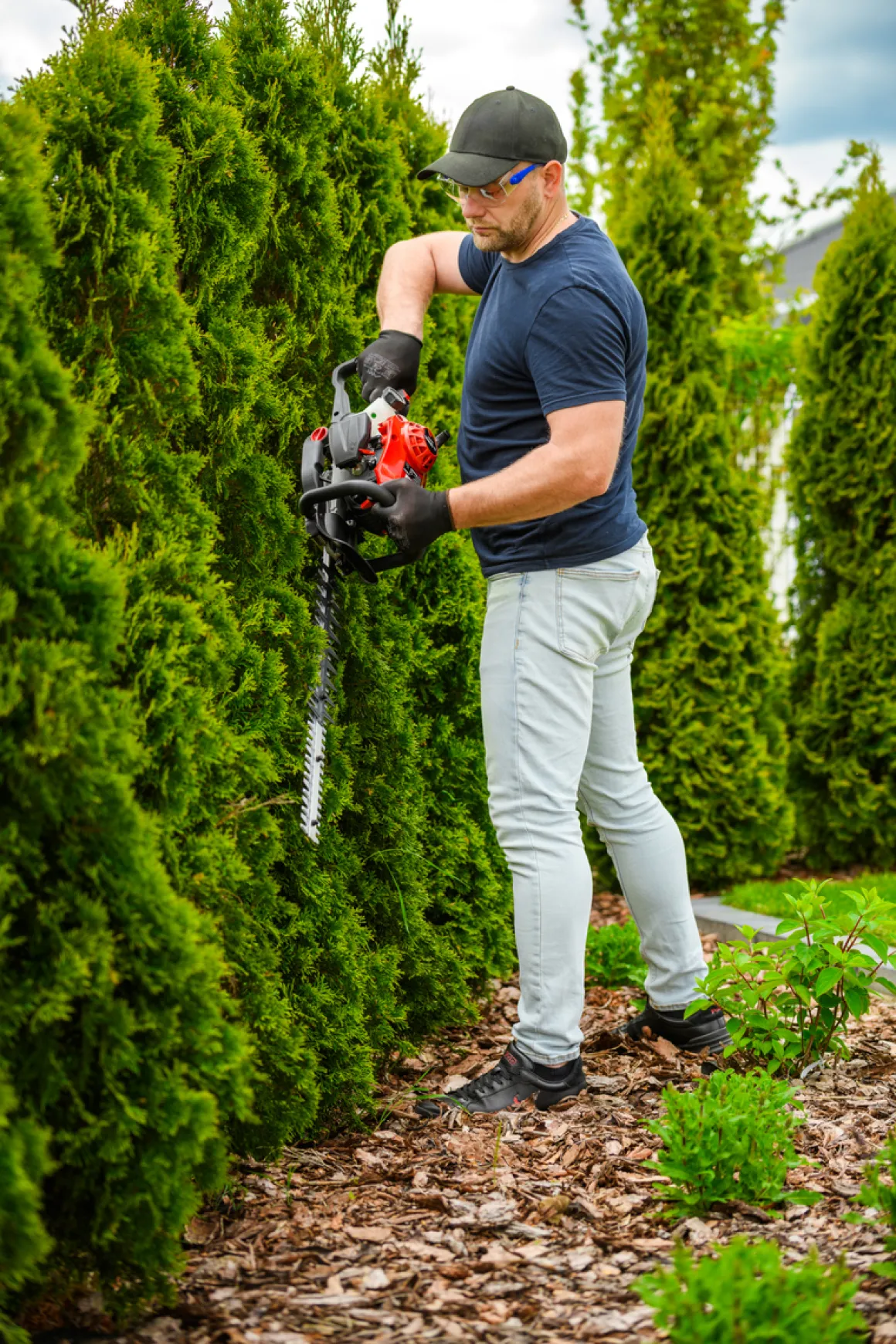 CEDRUS NZ02 SEKATOR NOŻYCE SPALINOWE DO ŻYWOPŁOTU KRZAKÓW KRZEWÓW SPALINOWE 61cm - EWIMAX - OFICJALNY DYSTRYBUTOR - AUTORYZOWANY DEALER CEDRUS