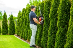 CEDRUS NZ02 SEKATOR NOŻYCE SPALINOWE DO ŻYWOPŁOTU KRZAKÓW KRZEWÓW SPALINOWE 61cm - EWIMAX - OFICJALNY DYSTRYBUTOR - AUTORYZOWANY DEALER CEDRUS