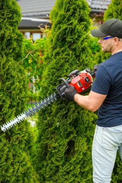 CEDRUS NZ02 SEKATOR NOŻYCE SPALINOWE DO ŻYWOPŁOTU KRZAKÓW KRZEWÓW SPALINOWE 61cm - EWIMAX - OFICJALNY DYSTRYBUTOR - AUTORYZOWANY DEALER CEDRUS