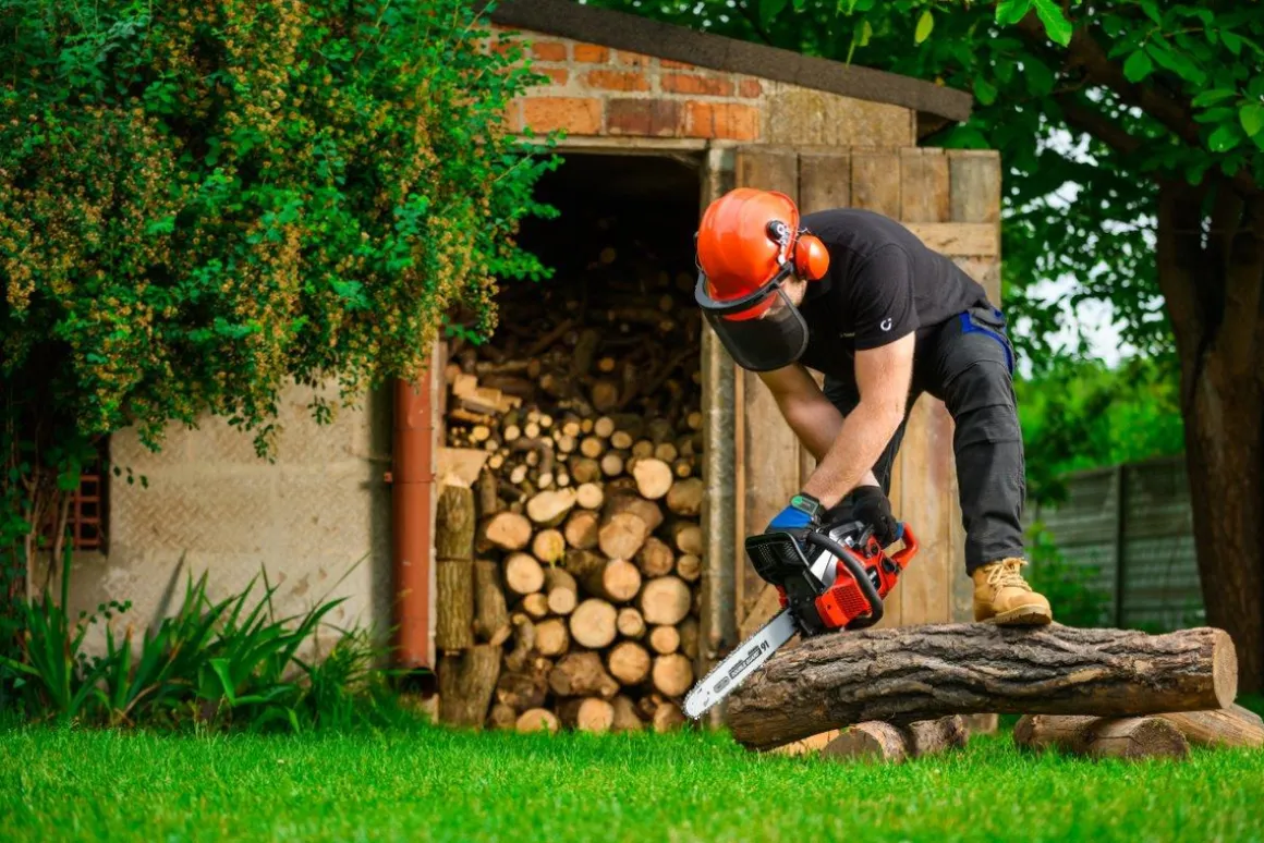 CEDRUS PS50-18T PIŁA PILARKA PRZECINARKA SPALINOWA ŁAŃCUCHOWA DO DREWNA OREGON 3 KM - EWIMAX - OFICJALNY DYSTRYBUTOR - AUTORYZOWANY DEALER CEDRUS