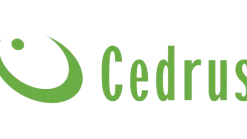 CEDRUS TR300G WOZIDŁO TRANSPORTER BUDOWLANY GĄSIENICOWY OGRODOWY TACZKA WYWROTKA NA GĄSIENICACH - OFICJALNY DYSTRYBUTOR - AUTORYZOWANY DEALER CEDRUS