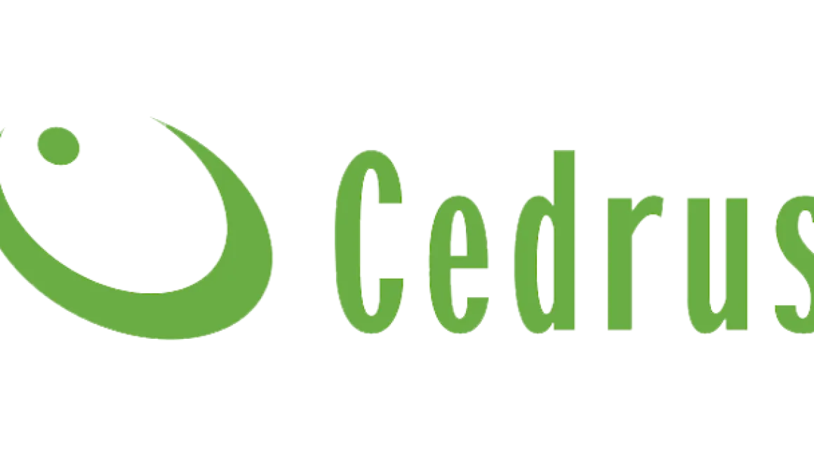 CEDRUS TR300G WOZIDŁO TRANSPORTER BUDOWLANY GĄSIENICOWY OGRODOWY TACZKA WYWROTKA NA GĄSIENICACH - OFICJALNY DYSTRYBUTOR - AUTORYZOWANY DEALER CEDRUS