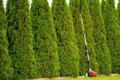 CEDRUS UW552 / UW520 KOSA SPALINOWA DO TRAWY PIŁA ŁAŃCUCHOWA SEKATOR URZĄDZENIE WIELOFUNKCYJNE PODKASZARKA WYKASZARKA 1.8 KM