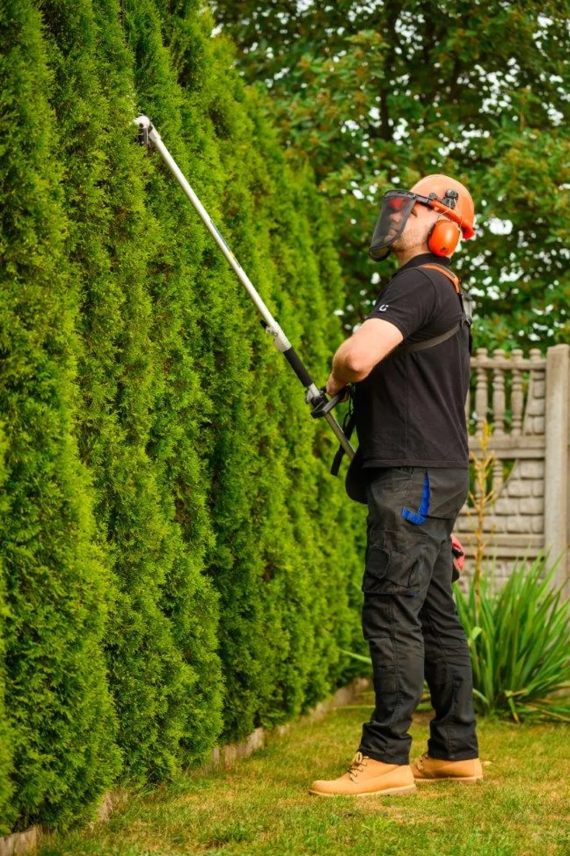CEDRUS UW552 / UW520 KOSA SPALINOWA DO TRAWY PIŁA ŁAŃCUCHOWA SEKATOR URZĄDZENIE WIELOFUNKCYJNE PODKASZARKA WYKASZARKA 1.8 KM