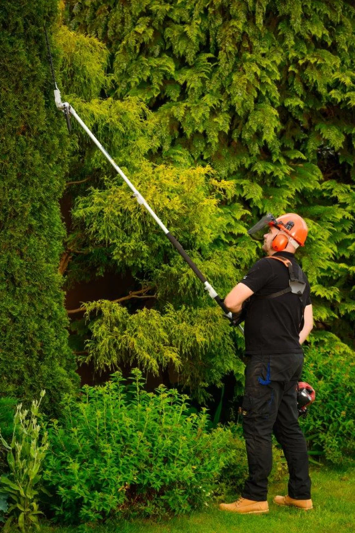 CEDRUS UW552 / UW520 KOSA SPALINOWA DO TRAWY PIŁA ŁAŃCUCHOWA SEKATOR URZĄDZENIE WIELOFUNKCYJNE PODKASZARKA WYKASZARKA 1.8 KM