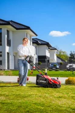 CEDRUS WE40 WERTYKULATOR DO TRAWY AREATOR 2w1 AERATOR + 2 WAŁKI 2000W / 40cm CEDWE40 - EWIMAX - OFICJALNY DYSTRYBUTOR - AUTORYZOWANY DEALER CEDRUS
