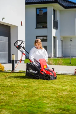 CEDRUS WE40 WERTYKULATOR DO TRAWY AREATOR 2w1 AERATOR + 2 WAŁKI 2000W / 40cm CEDWE40 - EWIMAX - OFICJALNY DYSTRYBUTOR - AUTORYZOWANY DEALER CEDRUS
