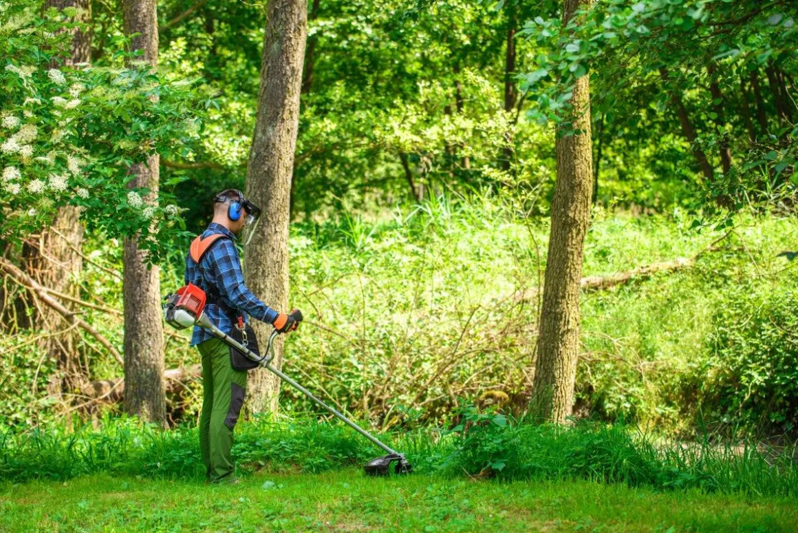 CEDRUS WK330R KOSA SPALINOWA DO TRAWY PODKASZARKA WYKASZARKA 1.2 KM EWIMAX-OFICJALNY DYSTRYBUTOR - AUTORYZOWANY DEALER CEDRUS