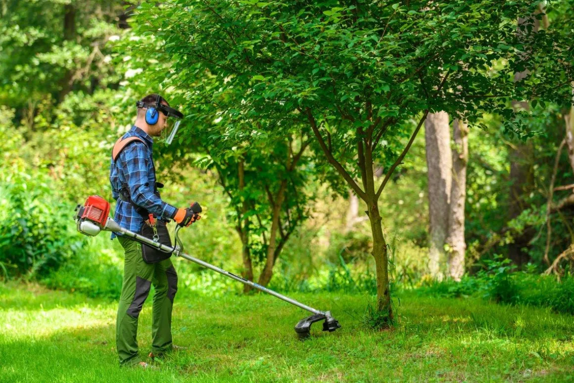 CEDRUS WK330R KOSA SPALINOWA DO TRAWY PODKASZARKA WYKASZARKA 1.2 KM EWIMAX-OFICJALNY DYSTRYBUTOR - AUTORYZOWANY DEALER CEDRUS